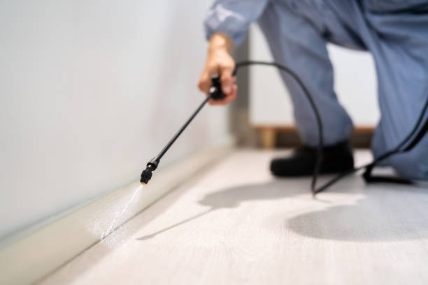 Licensed Pest Control service in Ransomville, NY - Show Me Pest Control