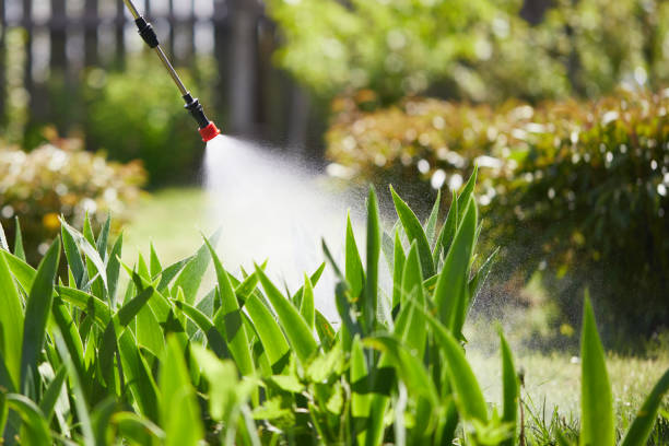 Tamper-Resistant Bait Stations for Rodents in Ransomville
