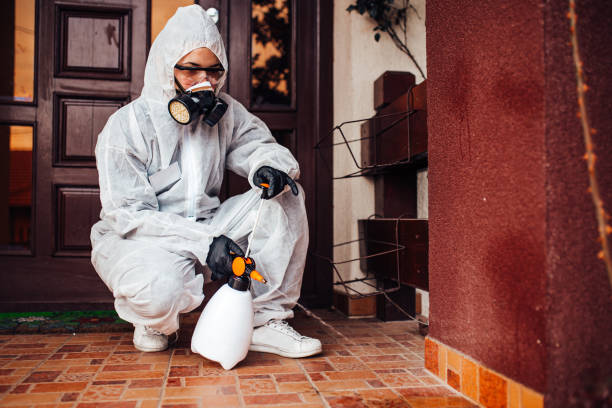Attic and Crawl Space Rodent Treatment in Ransomville