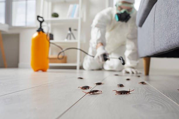 Commercial Rodent Management in Ransomville